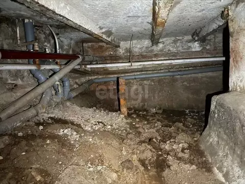 Помещение свободного назначения в Санкт-Петербург Старо-Петергофский ...