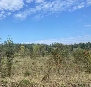 Участок в Пермский край, Пермский район, д. Ежи  (10.0 сот.)