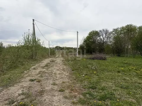 Участок в Калининградская область, Гурьевский муниципальный округ, ...