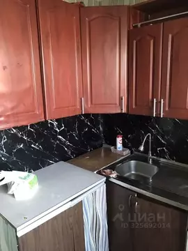 1-к кв. Алтайский край, Барнаул ул. Бабуркина, 11 (30.0 м)