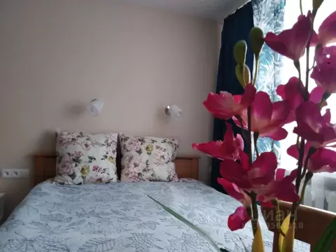 2-к кв. Пермский край, Пермь Петропавловская ул., 111 (47.0 м)