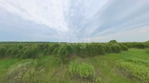 Участок в Свердловская область, Слободо-Туринский район, ...