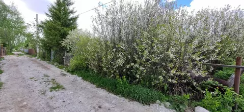 Участок в Омская область, Омск СОСН Птицевод-3 тер., аллея 2-я (5.5 ...