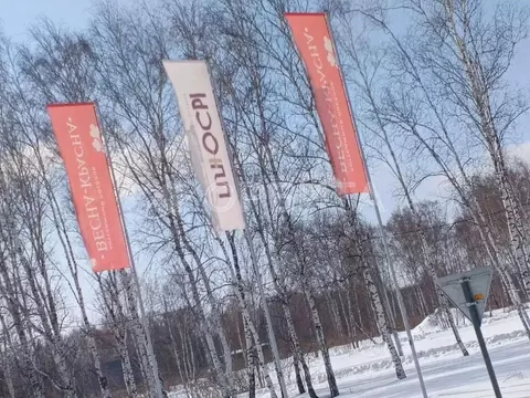 Участок в Тюменская область, Нижнетавдинский муниципальный округ, ...