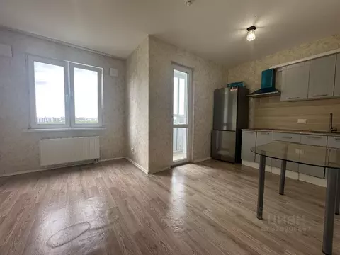 Студия Санкт-Петербург дор. Муринская, 12к2 (21.2 м)