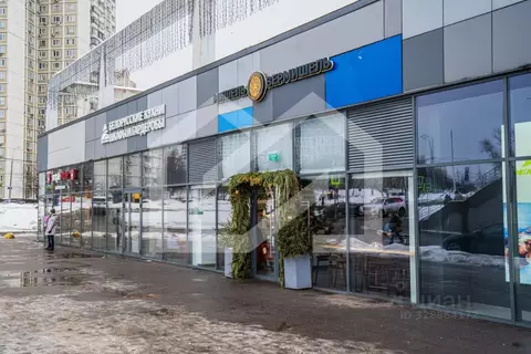 Помещение свободного назначения в Москва Дубравная ул., 51с1 (71 м)