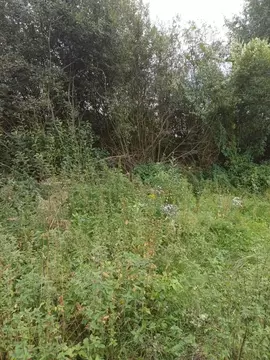 Участок в Московская область, Электросталь городской округ, д. Есино  ...