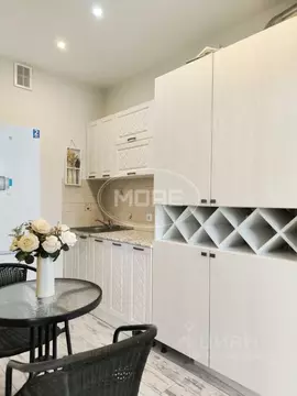 Студия Калининградская область, Калининград Летняя ул., 66 (25.1 м)