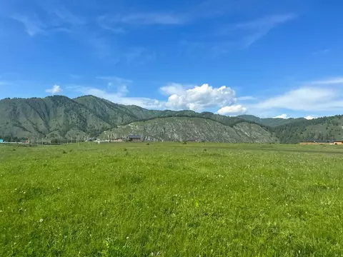 Участок в Алтай, Чемальский район, с. Анос  (10.0 сот.)
