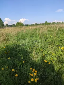 Участок в Вологодская область, д. Вепри  (15.0 сот.)