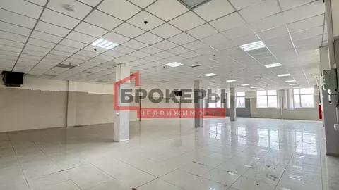 Помещение свободного назначения в Севастополь ул. Соловьева, 4 (457 м)