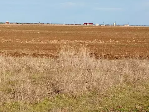 Участок в Крым, Ленинский район, Семисотское с/пос, Ак-Монай ТСН  (6.0 ...