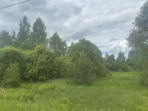 Участок в Московская область, Рузский муниципальный округ, с. ...