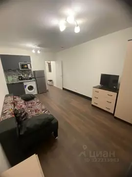 Студия Санкт-Петербург дор. Муринская, 29 (21.7 м)