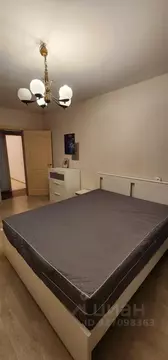 3-к кв. Санкт-Петербург Дунайский просп., 43к3 (75.0 м)