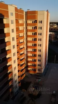 1-к кв. Курская область, Курск ул. 2-я Агрегатная, 57А (55.28 м)