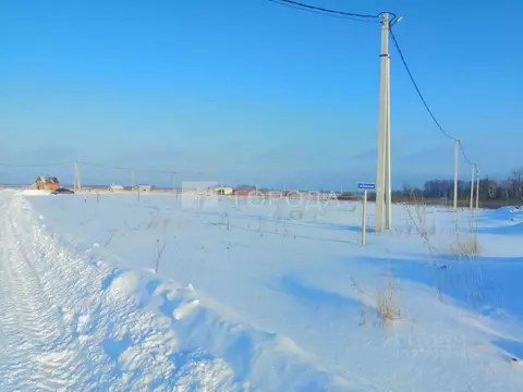Участок в Новосибирская область, Новосибирский район, Криводановский ...