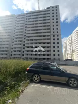 Студия Вологодская область, Вологда  (19.8 м)
