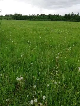 Продается участок в пос. Затишье