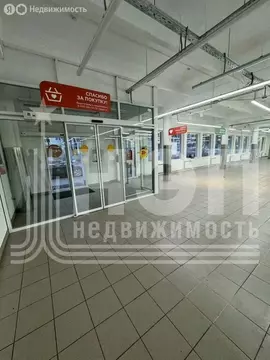 Помещение свободного назначения (1235 м)