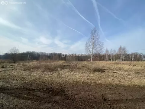Участок в Московская область, муниципальный округ Зарайск, деревня ...