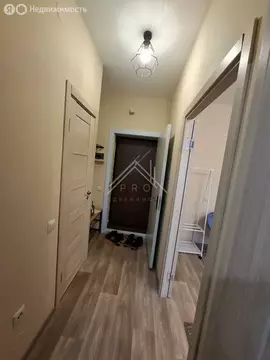 1-комнатная квартира: Красный Бор, Мостецкая улица, 4 (30 м)