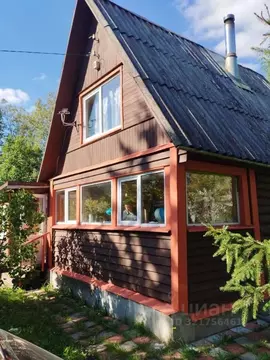 Дом в Ленинградская область, Гатчинский муниципальный округ, Учхоз ...