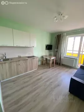 Квартира-студия: посёлок Шушары, Старорусский проспект, 13к1 (23.65 м)