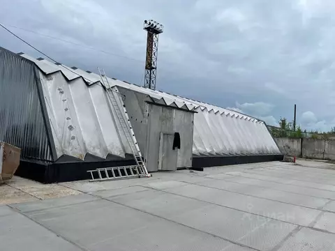 Склад в Санкт-Петербург, Санкт-Петербург, Пушкин Саперная ул., 77к4АБ ...