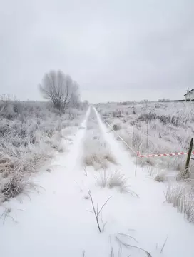 Участок в Тульская область, Узловая ул. Квасникова (12.0 сот.)