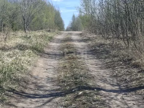 Участок в Ленинградская область, Волховский район, Пашское с/пос, д. ...