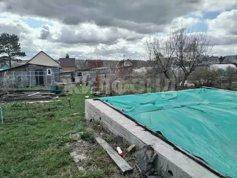 Участок в Новосибирская область, Новосибирск Золотая Горка СНТ, аллея ...