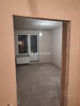 Студия Ленинградская область, Всеволожский район, Заневское городское ...