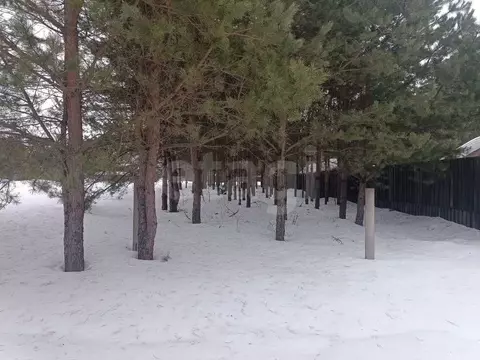 Участок в Московская область, Орехово-Зуевский городской округ, д. ...