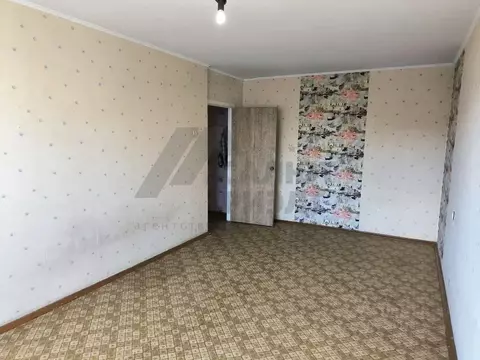 1-к кв. Калининградская область, Калининград Батальная ул., 64 (32.8 ...