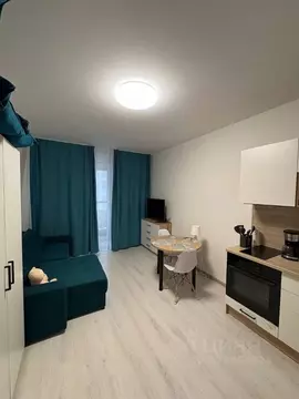 Студия Санкт-Петербург ул. Верхне-Каменская, 9к1 (25.0 м)