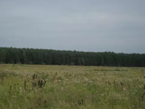 Участок в Московская область, Одинцовский городской округ, Пруды кп  ...