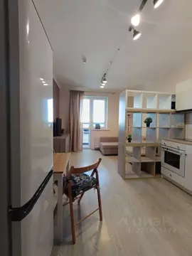 Студия Санкт-Петербург Парашютная ул., 36к1 (28.0 м)