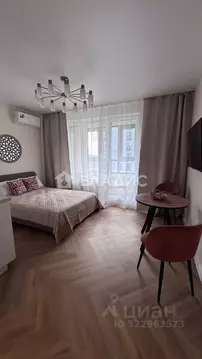 Студия Санкт-Петербург Планерная ул., 99 (22.6 м)