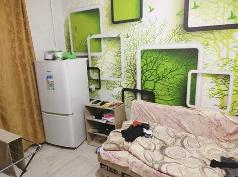 Студия Башкортостан, Уфа ул. Ферина, 3/3 (16.2 м)