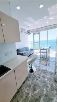 1-к кв. Краснодарский край, Сочи Виноградная ул., 101/1 (34.0 м)