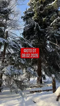 Участок в Московская область, Можайский муниципальный округ, Форест ...