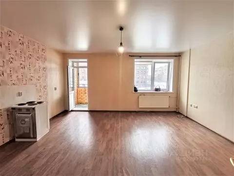 Студия Пермский край, Пермь ул. Решетникова, 24 (38.7 м)