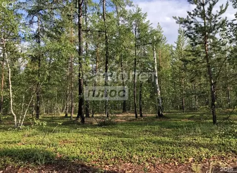 Участок в посёлок городского типа Нижний Бестях, улица Габышева, 20 ...