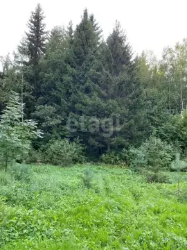 Участок в Калужская область, Боровский муниципальный округ, Совьяки ...