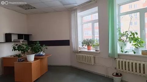 Офис (1823.6 м)