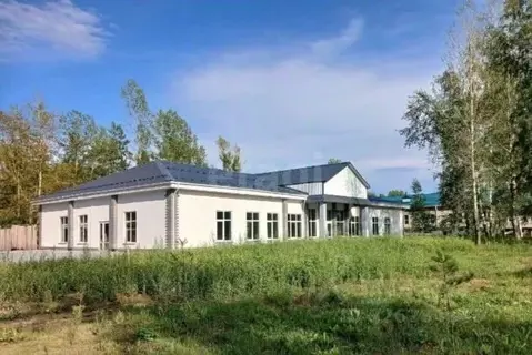 Помещение свободного назначения в Пермский край, Краснокамск ул. ...