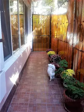 Коттедж в Крым, Ялта ул. Загородная, 10 (180 м)