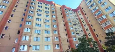 2-к кв. Воронежская область, Воронеж Ростовская ул., 58/19 (55.9 м)