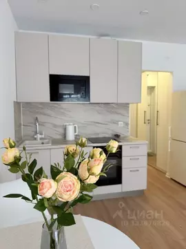 Студия Москва ул. Трехполье, 6к1 (21.0 м)